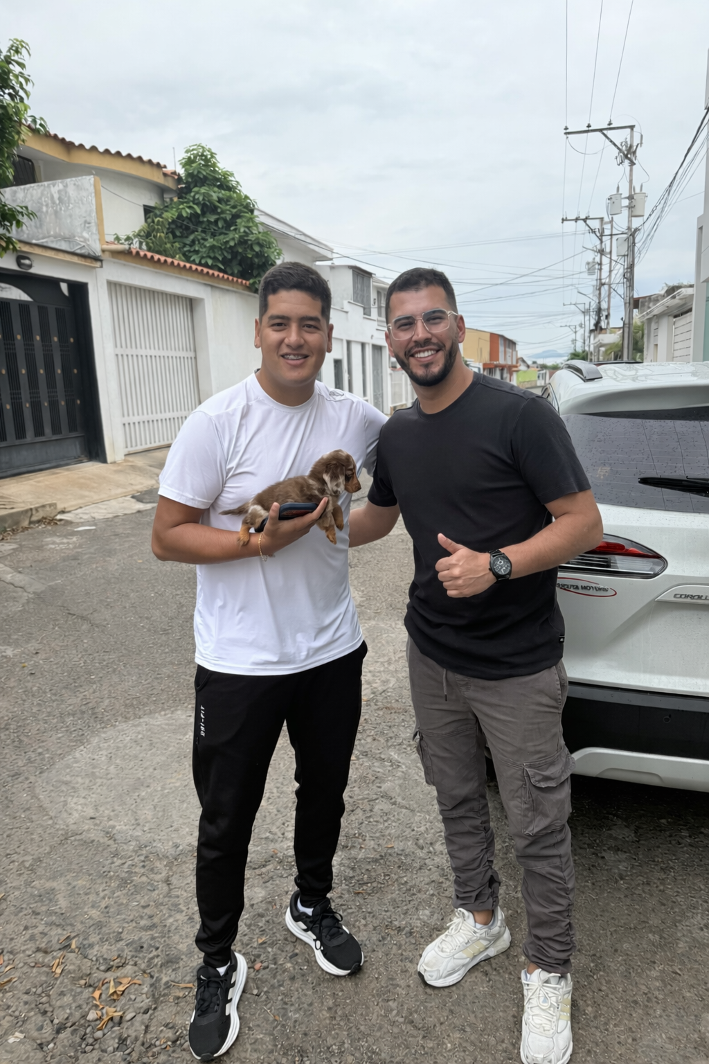 Familias que crecen con amor canino